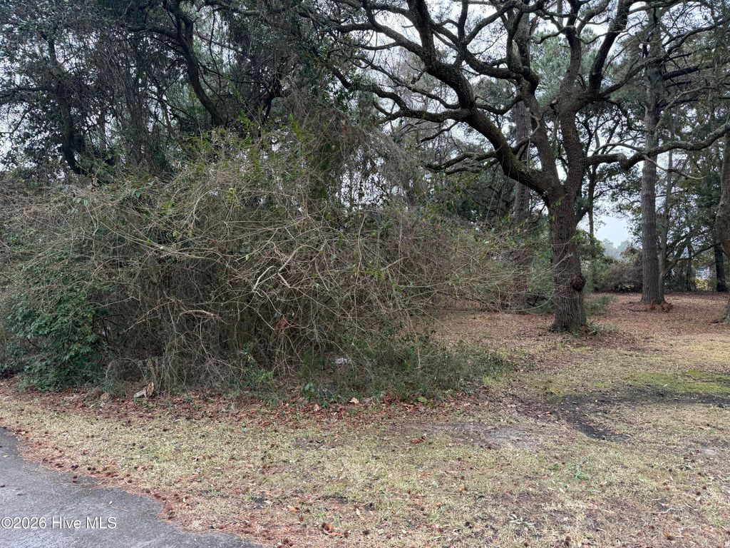 Photo of 116 Willow Street, Beaufort, NC 28516 (MLS # 100556588)