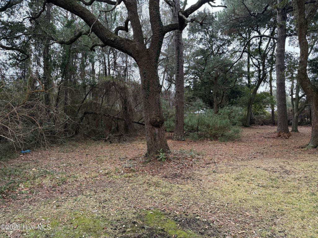 Photo of 116 Willow Street, Beaufort, NC 28516 (MLS # 100556588)