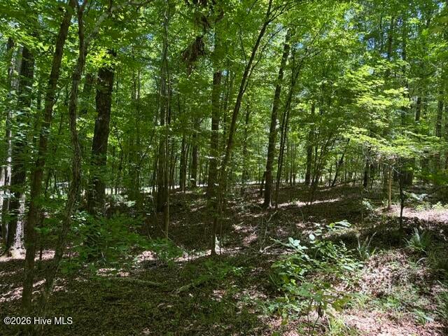 Photo of 541 S Steel Bridge Road, Eatonton, GA 31024 (MLS # 100579157)