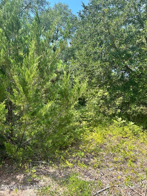 Tiny photo for 105 SE 8th Street, Oak Island, NC 28465 (MLS # 100598080)