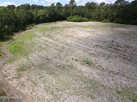 Tiny photo for 225 J Metts Drive NW, Supply, NC 28462 (MLS # 100577259)