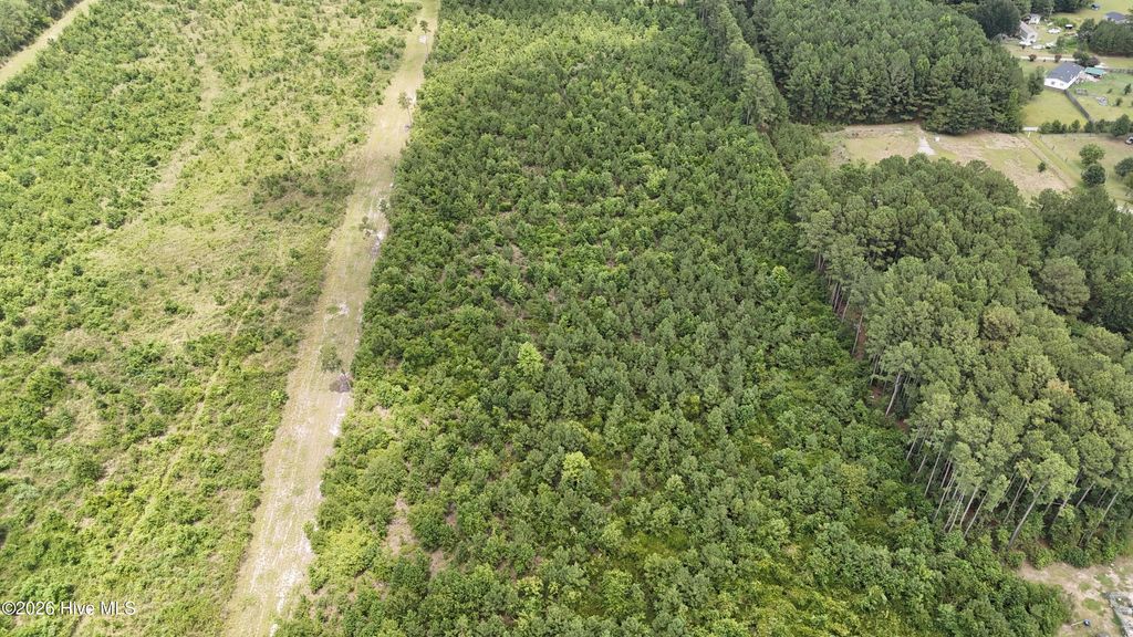 Photo of 0000 Eric Sparrow Road, Deep Run, NC 28525 (MLS # 100589146)