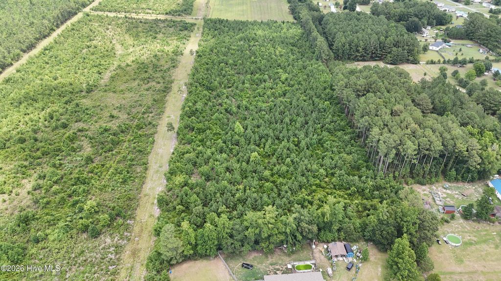 Photo of 0000 Eric Sparrow Road, Deep Run, NC 28525 (MLS # 100589146)