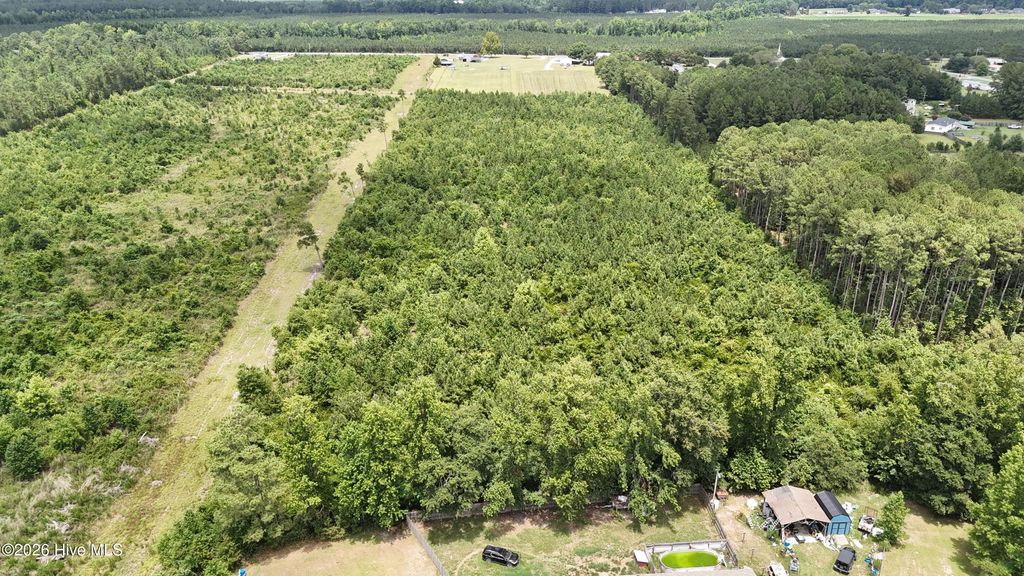 Photo of 0000 Eric Sparrow Road, Deep Run, NC 28525 (MLS # 100589146)