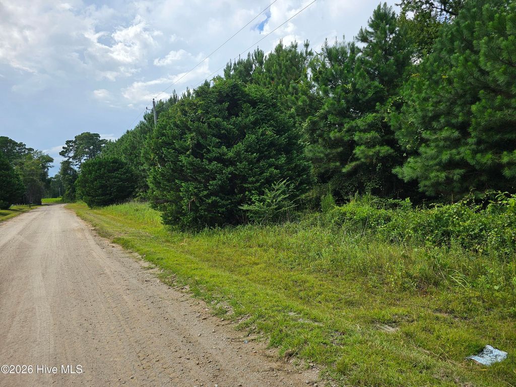 Photo of 1 Auburn Drive, Loris, SC 29569 (MLS # 100549137)