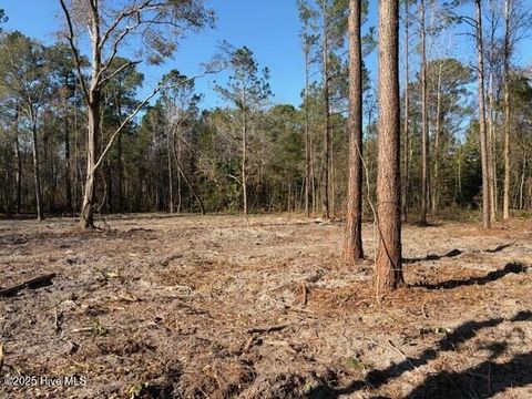 Tiny photo for 4401 Smith Trail NE, Leland, NC 28451 (MLS # 100545583)