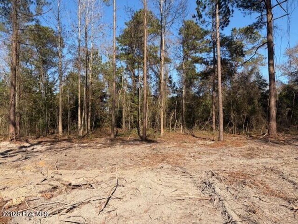 Photo of 4401 Smith Trail NE, Leland, NC 28451 (MLS # 100545583)