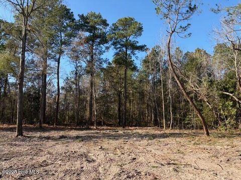 Tiny photo for 4401 Smith Trail NE, Leland, NC 28451 (MLS # 100545583)