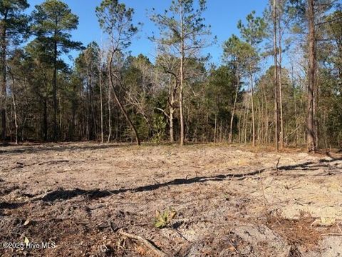 Tiny photo for 4401 Smith Trail NE, Leland, NC 28451 (MLS # 100545583)