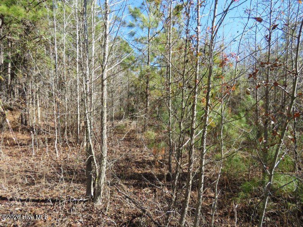 Photo of 83 Glory Light Road, Fairmont, NC 28340 (MLS # 100558059)