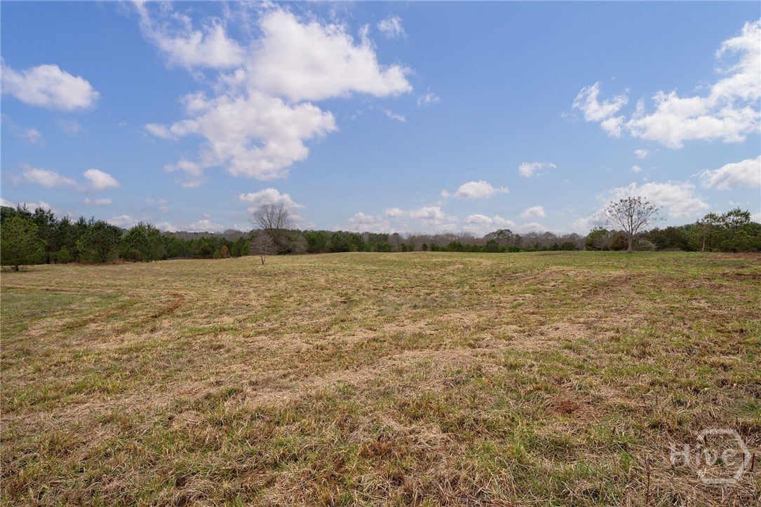 Tract 3 High Shoals Road