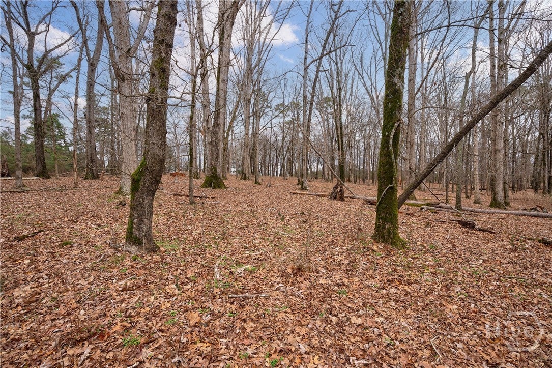 Tract 3 High Shoals Road