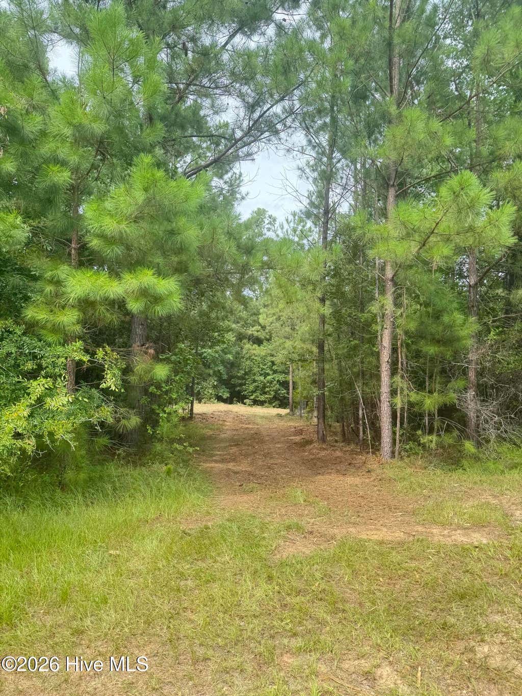 Photo of 6481 Carriage Lane, Harlem, GA 30814 (MLS # 100593108)