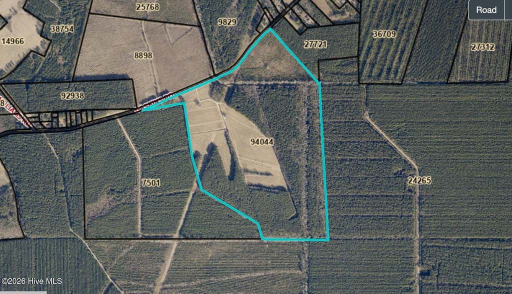 Photo of 00 Gaskins Road, Grimesland, NC 27837 (MLS # 100587079)