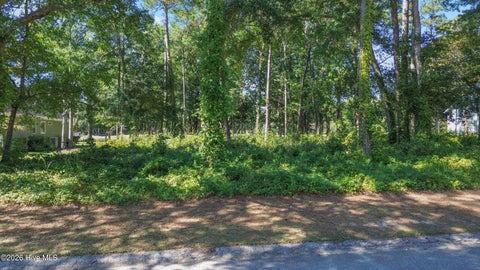 Tiny photo for 1629 Colonist Square SW, Ocean Isle Beach, NC 28469 (MLS # 100611290)