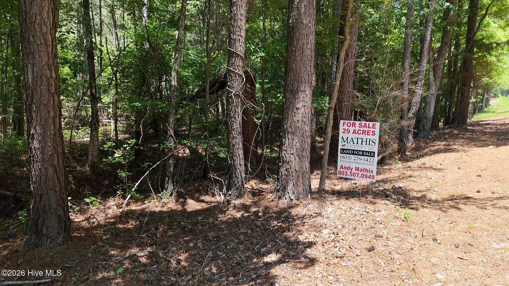 Photo of 110 N North Martintown Road Road, Edgefield, SC 29824 (MLS # 100580958)