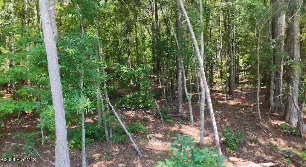 Photo of 110 N North Martintown Road Road, Edgefield, SC 29824 (MLS # 100580958)