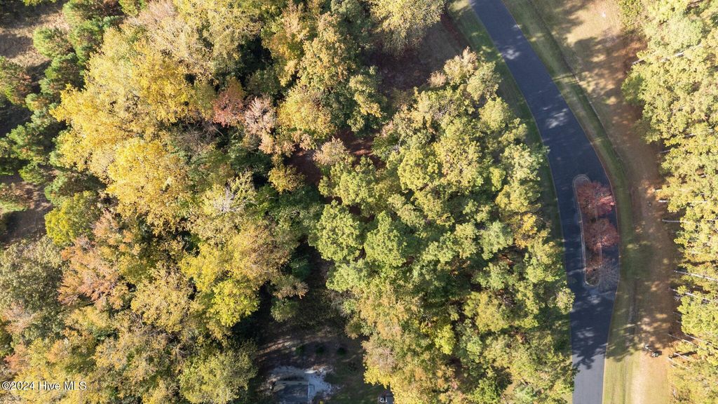 Photo of 96 Highland Avenue, Grantsboro, NC 28529 (MLS # 100474635)