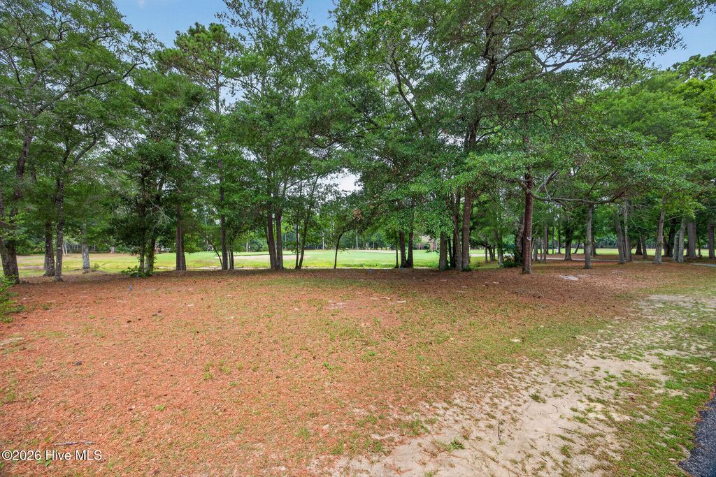 Photo of 85 Marina Drive SW, Supply, NC 28462 (MLS # 100584937)