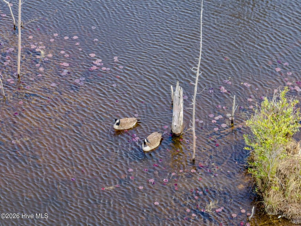 Photo of 0 Woodwind Drive, Vass, NC 28394 (MLS # 100565333)