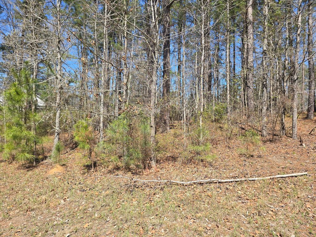 Photo of 27 Saluda Court, North Augusta, SC 29860 (MLS # 553373)