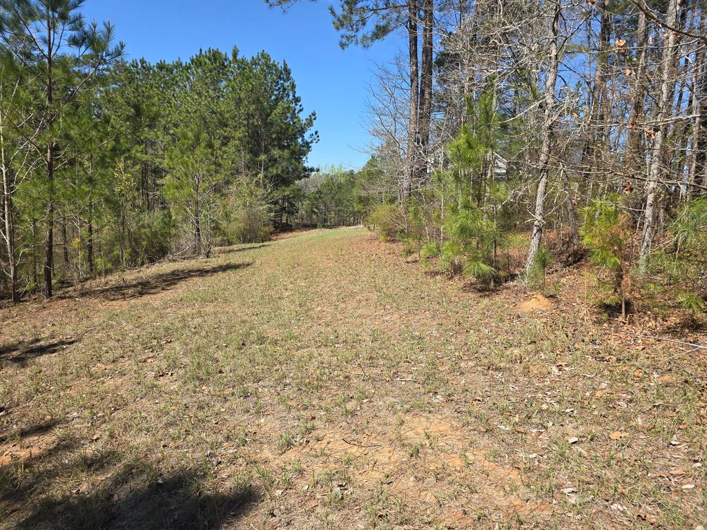 Photo of 27 Saluda Court, North Augusta, SC 29860 (MLS # 553373)