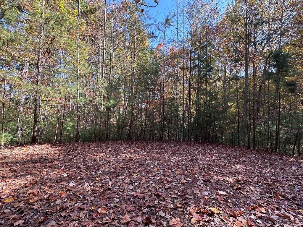 Lot 5&8 Indian Rock Springs Subdivisio Dr