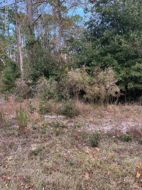 Vacant Land For Sale - 230 Redwood Road<br/> Southport, NC 28461