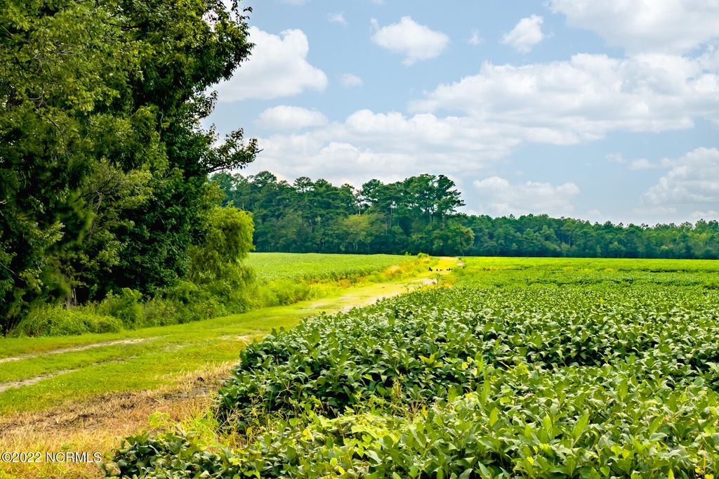 Photo of N/A Parkertown Road, Hubert, NC 28539 (MLS # 100345940)