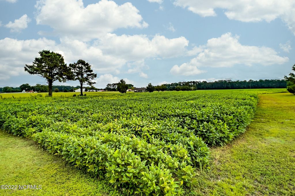 Photo of N/A Parkertown Road, Hubert, NC 28539 (MLS # 100345940)