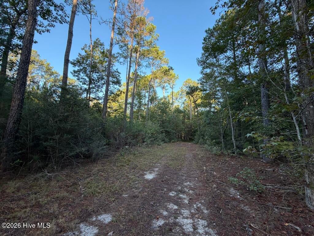 Photo of 2619 Callender Road SW, Shallotte, NC 28470 (MLS # 100613401)