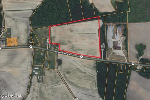 Vacant Land For Sale - 6281 Nc Highway 32<br/> Washington County, Roper, NC 27970