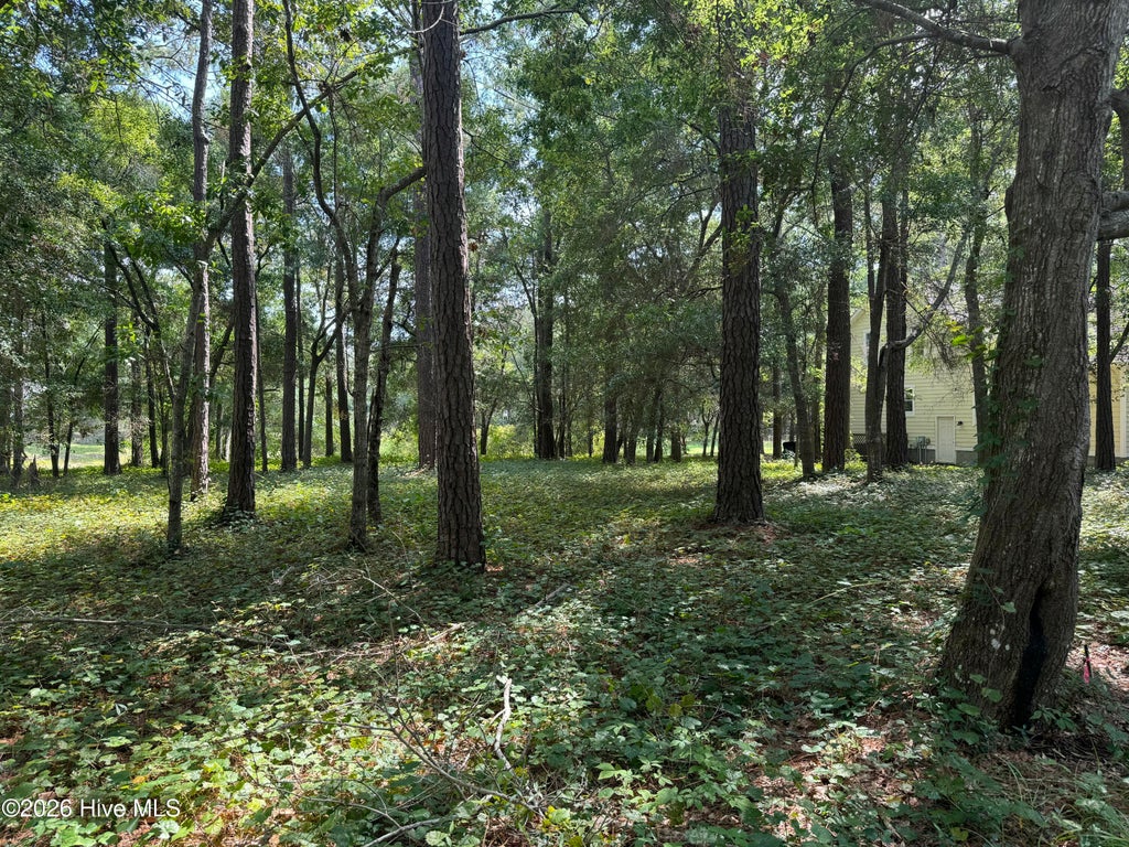 Photo of 3055 Channel Drive SE, Bolivia, NC 28422 (MLS # 100604896)