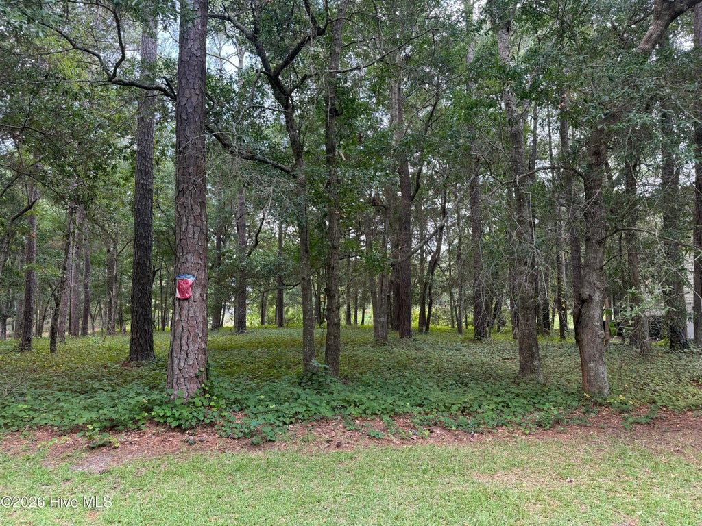 Photo of 3055 Channel Drive SE, Bolivia, NC 28422 (MLS # 100604896)