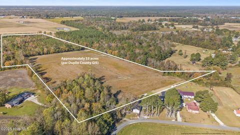 Vacant Land For Sale - Batts Road<br/> Duplin County, Beulaville, NC 28518