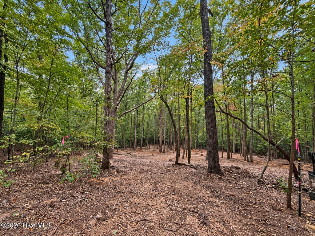 Photo of 150 Morgan Circle, Carthage, NC 28327 (MLS # 100609594)