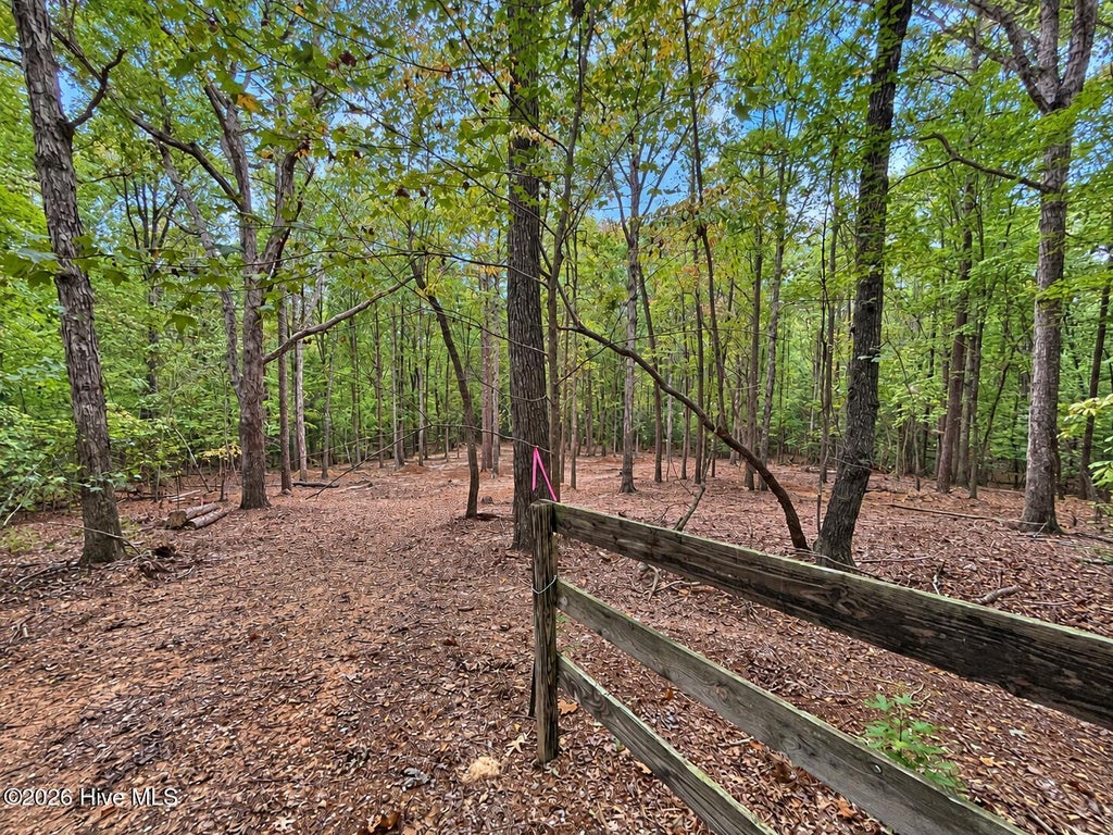 Photo of 150 Morgan Circle, Carthage, NC 28327 (MLS # 100609594)
