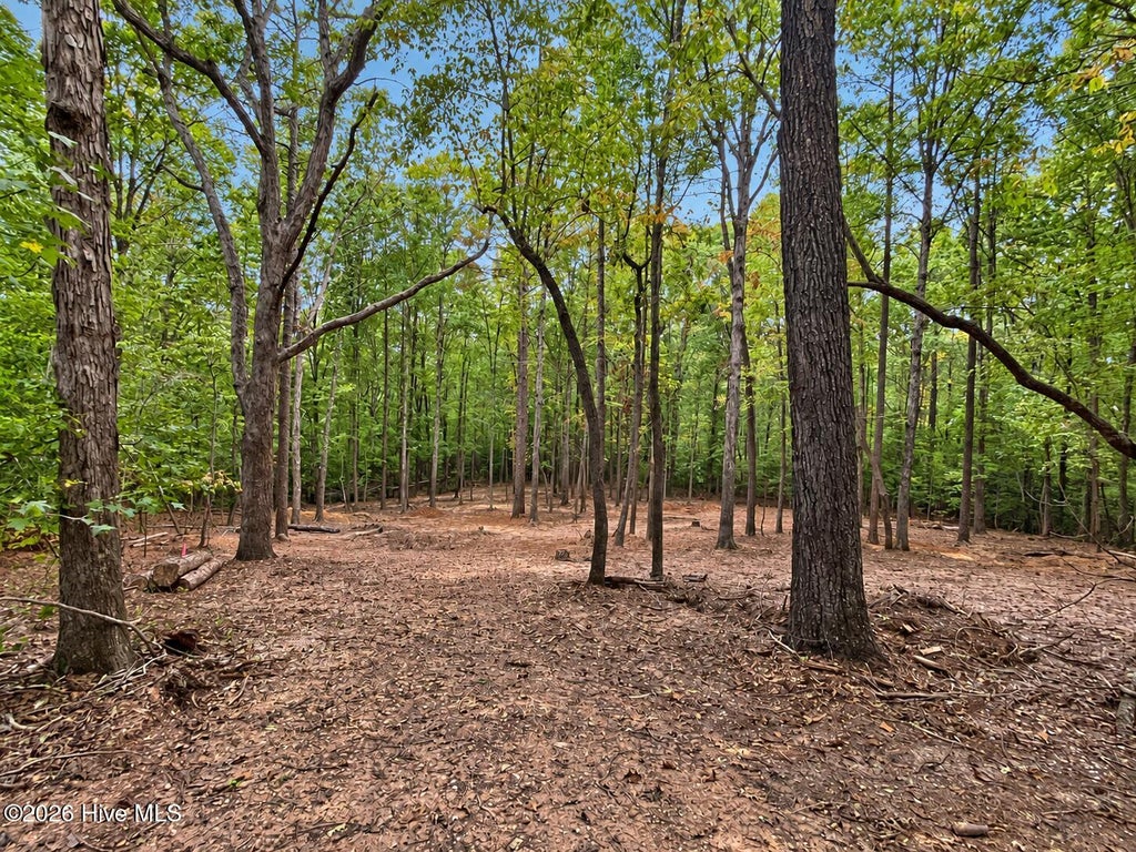 Photo of 150 Morgan Circle, Carthage, NC 28327 (MLS # 100609594)