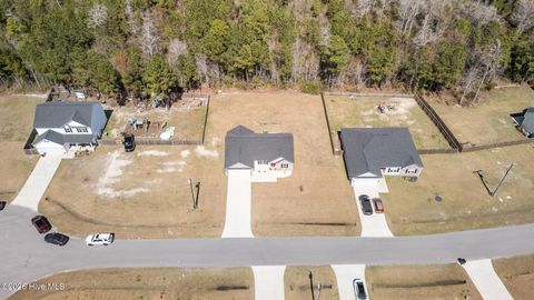 Tiny photo for 704 W Warner Court, Hubert, NC 28539 (MLS # 100563188)