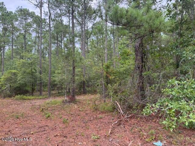 Photo of 0 Nc Highway 210 Road, Currie, NC 28435 (MLS # 100591122)