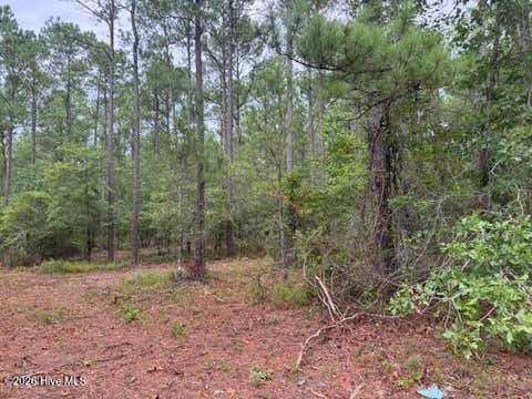 Tiny photo for 0 Nc Highway 210 Road, Currie, NC 28435 (MLS # 100591122)