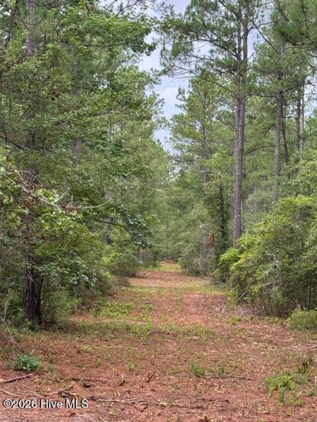 Photo of 0 Nc Highway 210 Road, Currie, NC 28435 (MLS # 100591122)