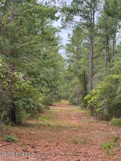 Tiny photo for 0 Nc Highway 210 Road, Currie, NC 28435 (MLS # 100591122)