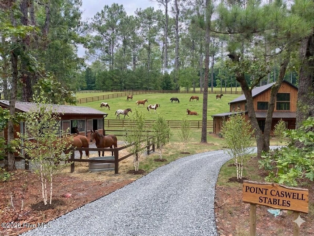 Photo of 0 Nc Highway 210 Road, Currie, NC 28435 (MLS # 100591122)
