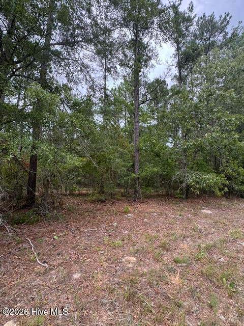 Tiny photo for 0 Nc Highway 210 Road, Currie, NC 28435 (MLS # 100591122)