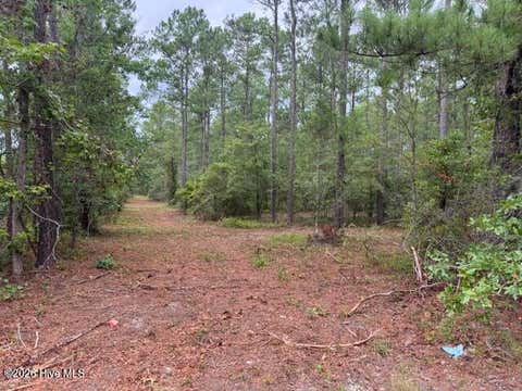 Photo of 0 Nc Highway 210 Road, Currie, NC 28435 (MLS # 100591122)