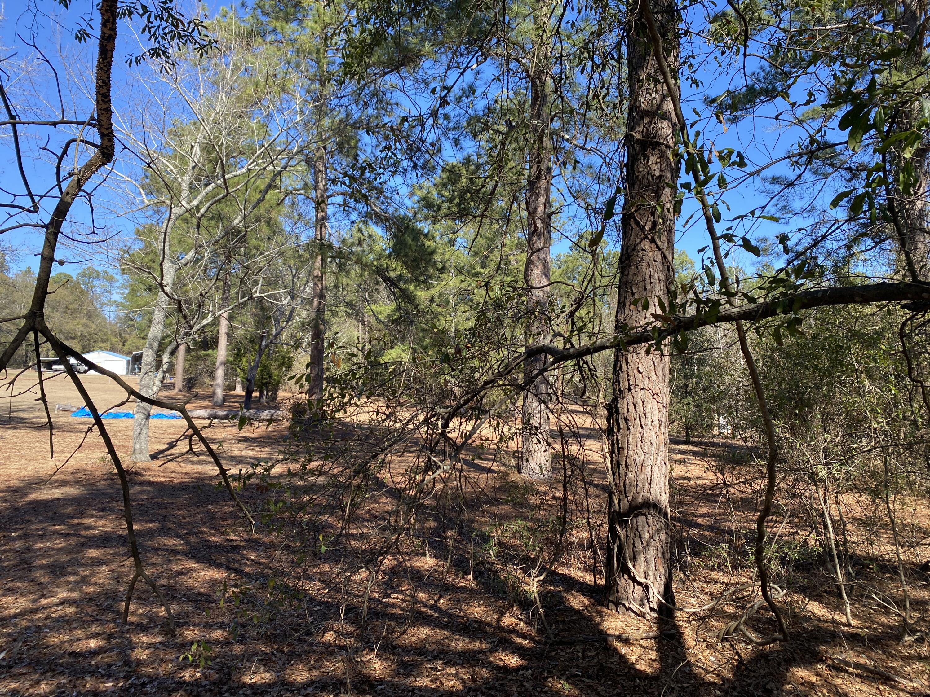 1621 N Pine Ridge Drive