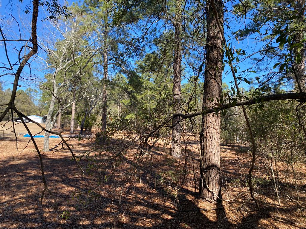 Photo of 1621 N Pine Ridge Drive, Hephzibah, GA 30815 (MLS # 552416)