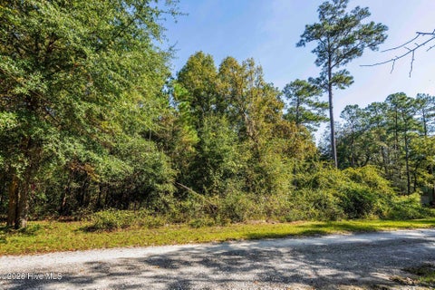 Tiny photo for 5 Riverview Drive, Burgaw, NC 28425 (MLS # 100611798)