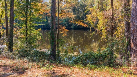 Tiny photo for 5 Riverview Drive, Burgaw, NC 28425 (MLS # 100611798)